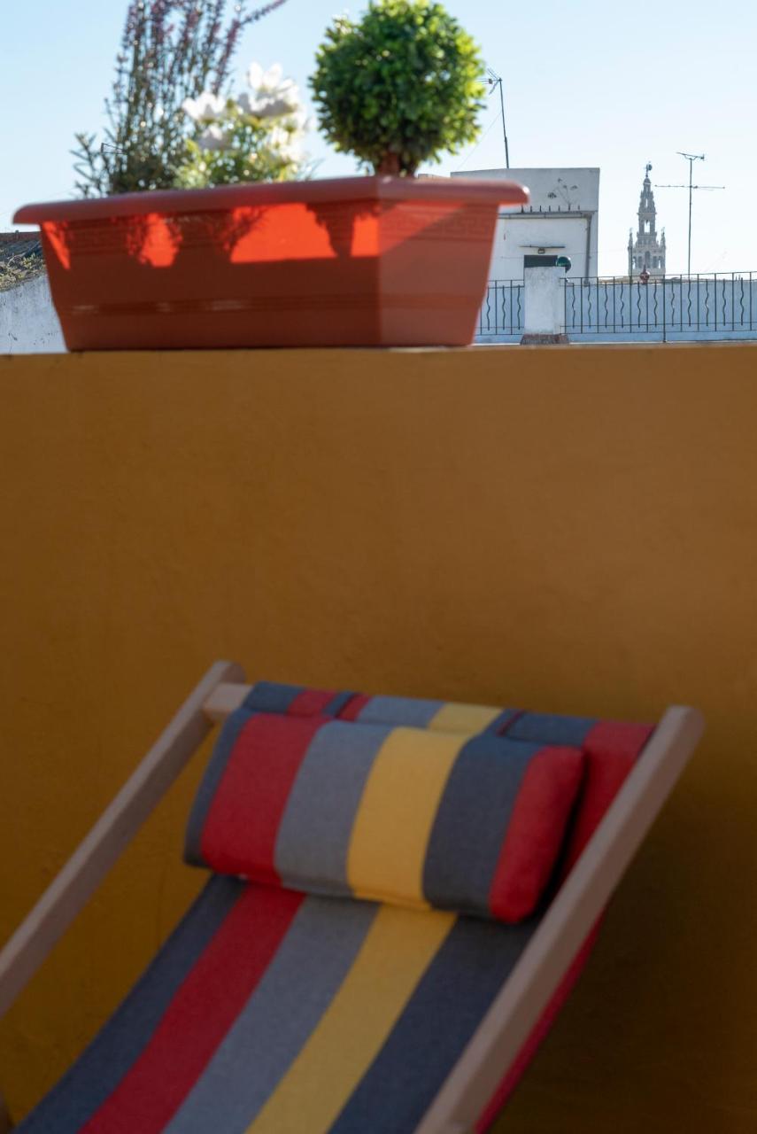 Alfareria Appartement